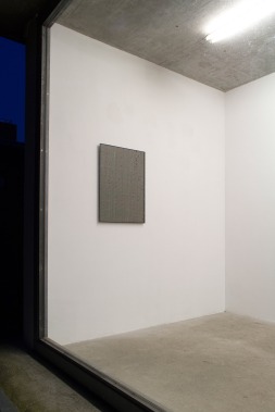 Gonzalo Reyes Araos, Different Similarities at Pavillon am Milchhof, Berlin